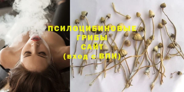 ALPHA PVP Алзамай